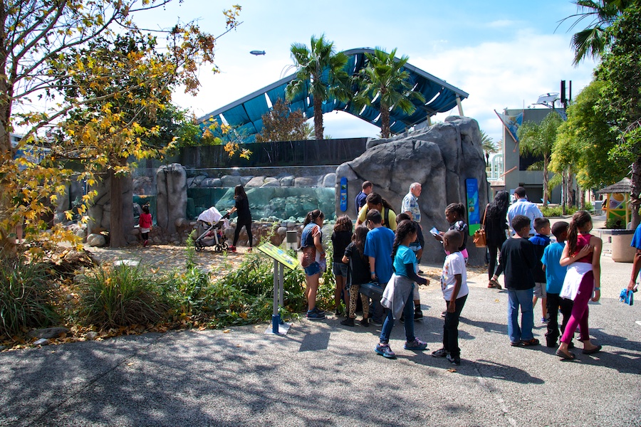 Children in front of Steelhead Exhibit