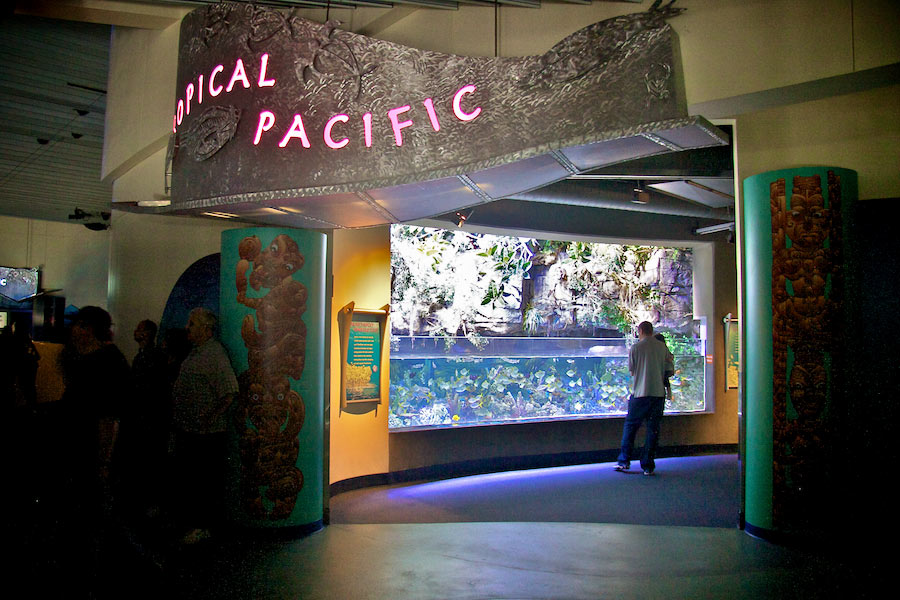 Tropical Pacific Gallery entrance