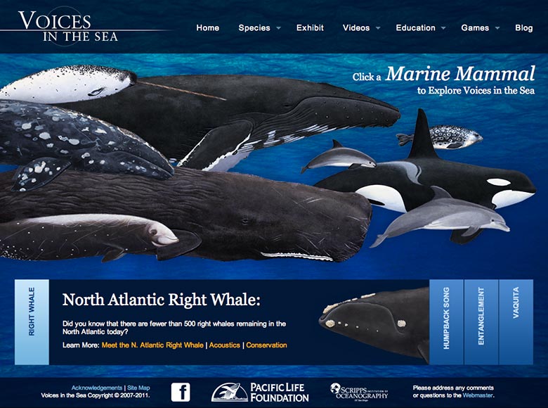 Group of whales and logo