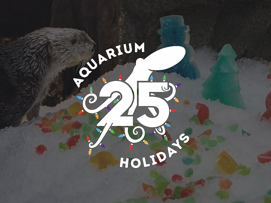 2023 aquarium holidays logo with otter on ice looking at treats