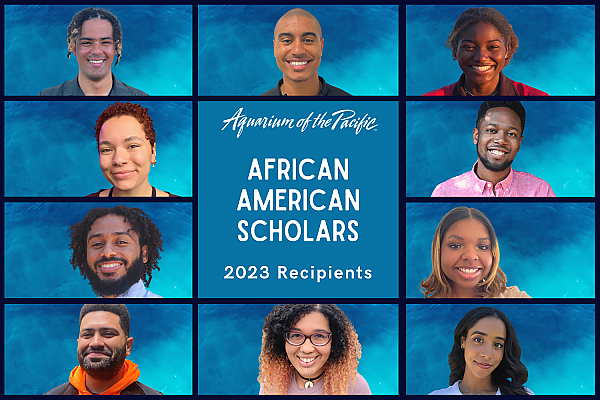Collage of 2023 African American Scholars Cohort