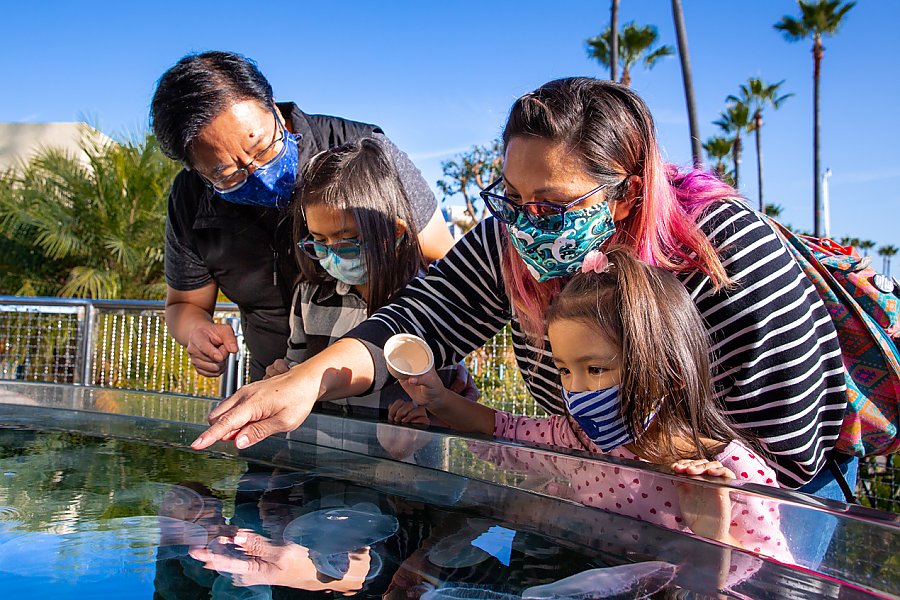 Masked family at Moon Jelly Touch Lab