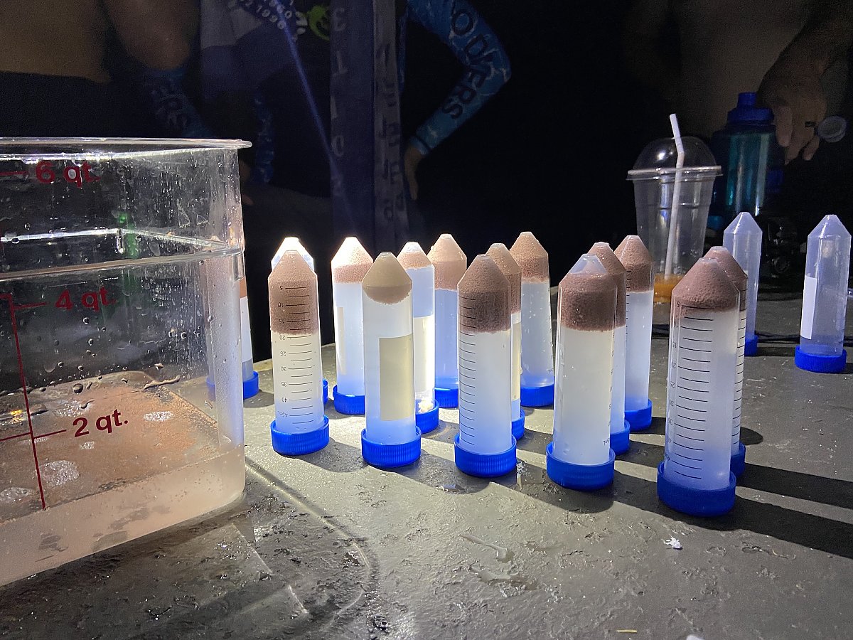 Vials full of coral gametes sit on a table with lab equipment