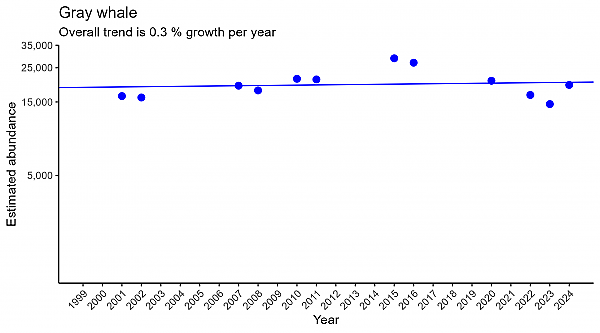 Gray whale regression