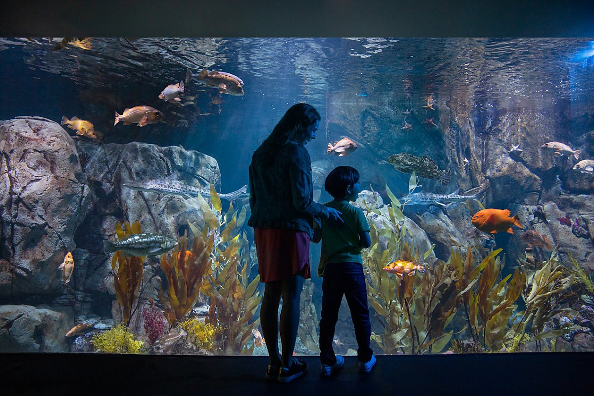 Parent and child in front of amber forest exhibit