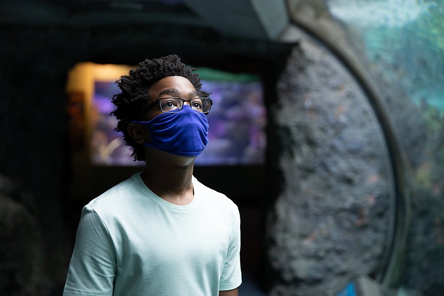 A black mask-wearing student with glasses gazes upward in the Aquarium's Tropical Tunnel.