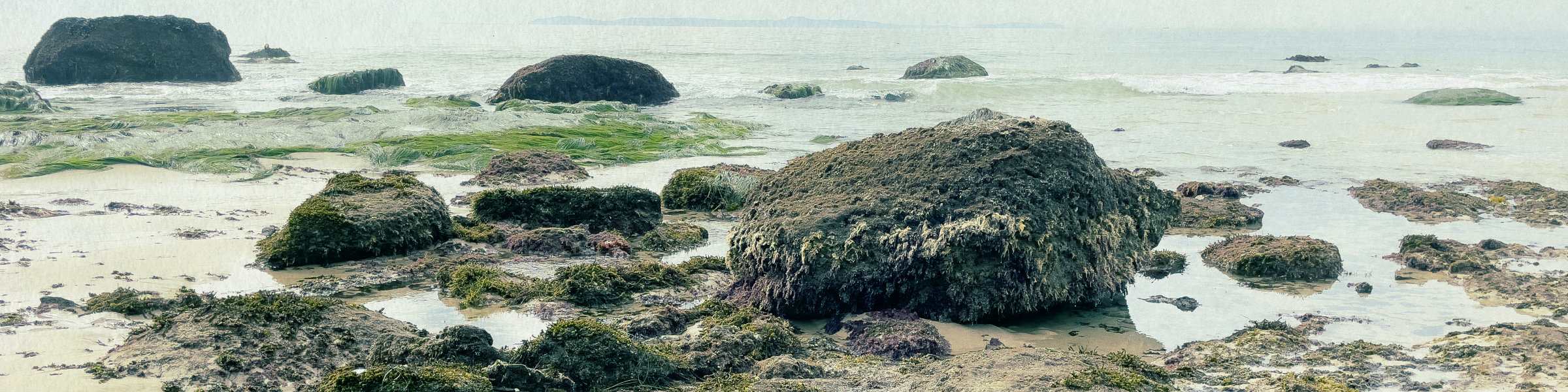 Coast line with rocks, surfgrass and tides pools