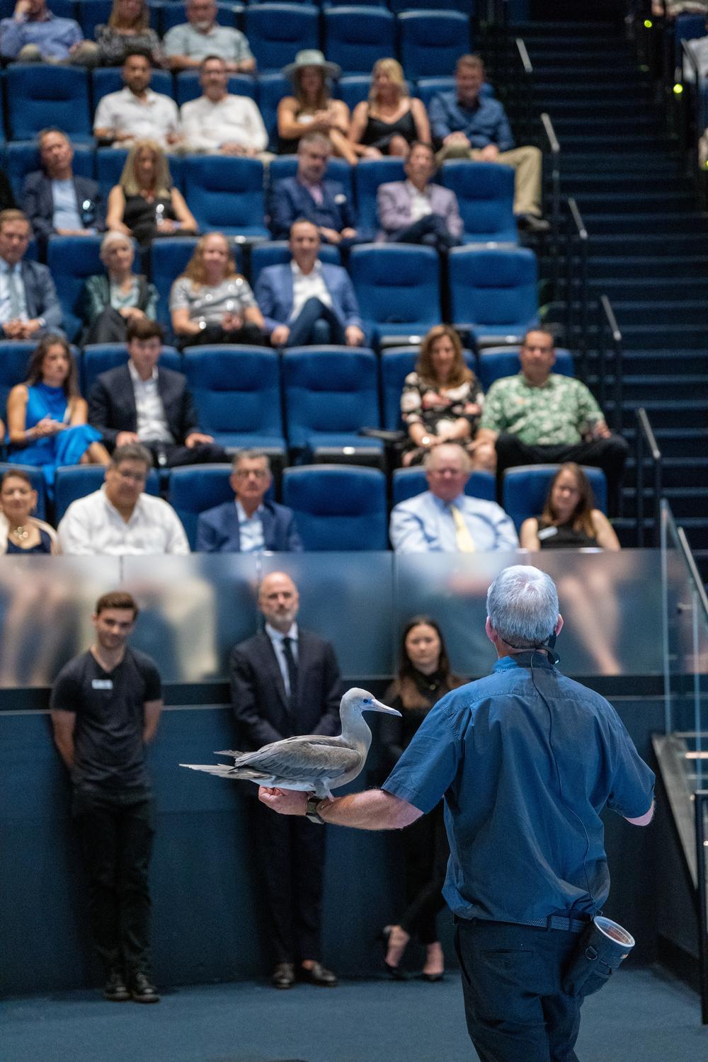 a crowd in a theater looks on an educator as he holds a red-footed booby on his arm